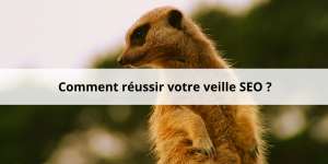 Comment réaliser une veille SEO efficacement ?