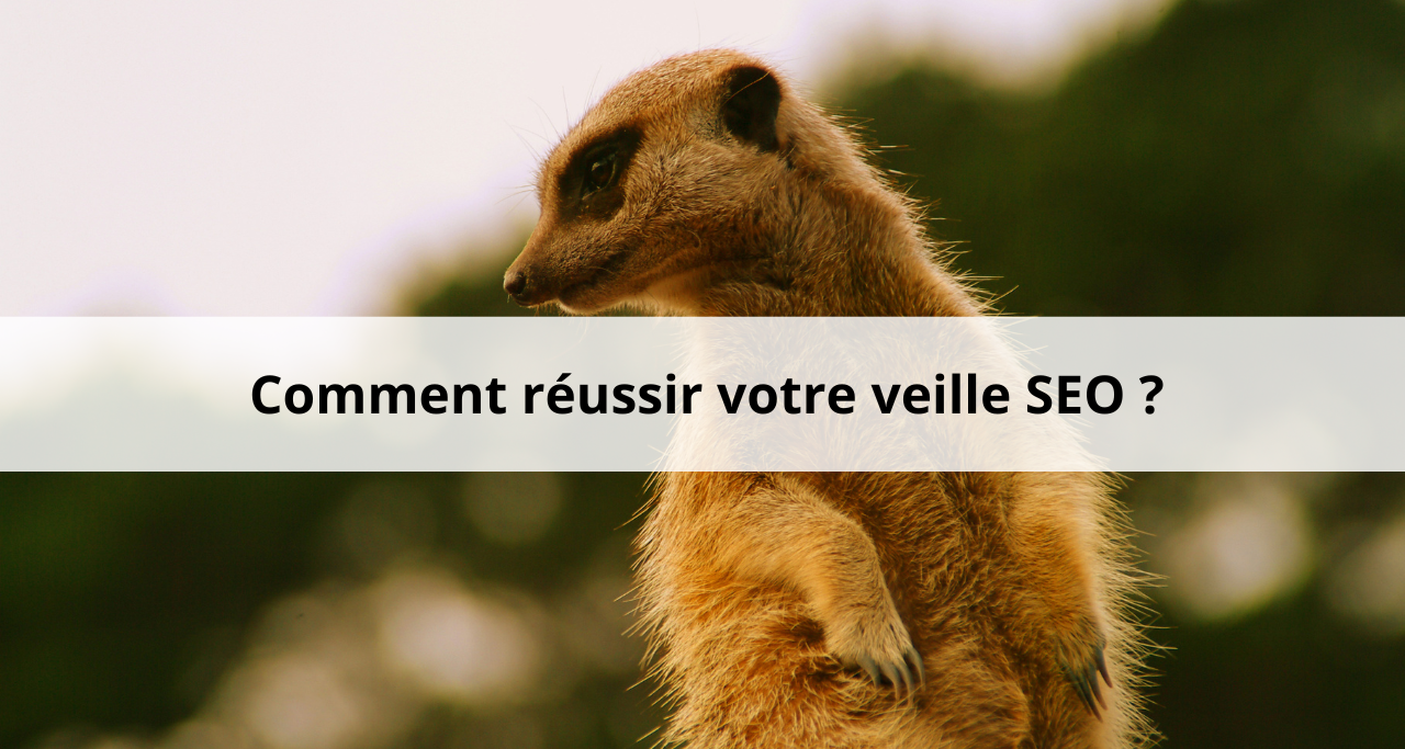 Astuces d'experts pour une veille SEO performante