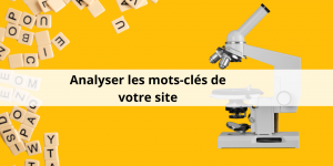 Analyse-de-mots-cles sur Ranxplorer