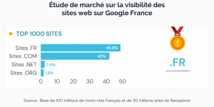 Les sites en .fr sont mis en avant par Google France