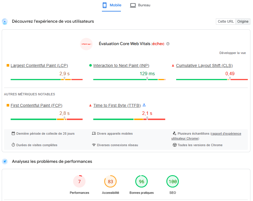 Capture d'écran d'analyse SEO technique avec PageSpeed Insight