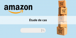 Découvrez comment Amazon contourne les problèmes de duplication de contenus et arrive à conserver sa place de leader en e-commerce.