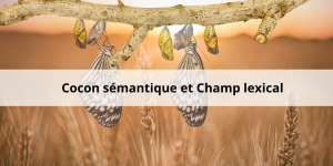 Booster son SEO avec le cocon sémantique et le champ lexical