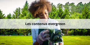 Les contenus evergreen en SEO