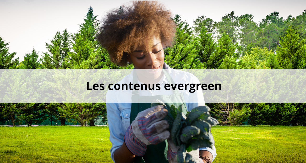 SEO et contenus evergreen