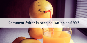 Comment éviter la cannibalisation de contenu en SEO ?