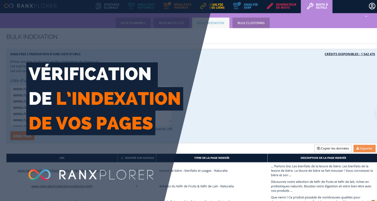 Bulk Indexation : Vérifiez l’indexation Google de vos pages web
