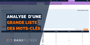 Bulk-mots-clés : Analyse d'une grande liste de mots-clés