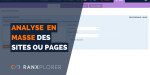 Bulk domaines - outil seo pour analyser des sites en masse