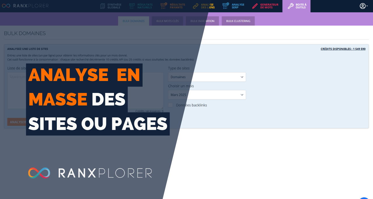 Bulk Domaines : L’outil essentiel pour auditer des milliers de sites en un seul clic