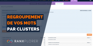 Bulk Clustering - outil pour regrouper vos mots-clés par cluster sémantique