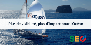 Comment Tara Océan booste sa visibilité avec Ranxplorer ?