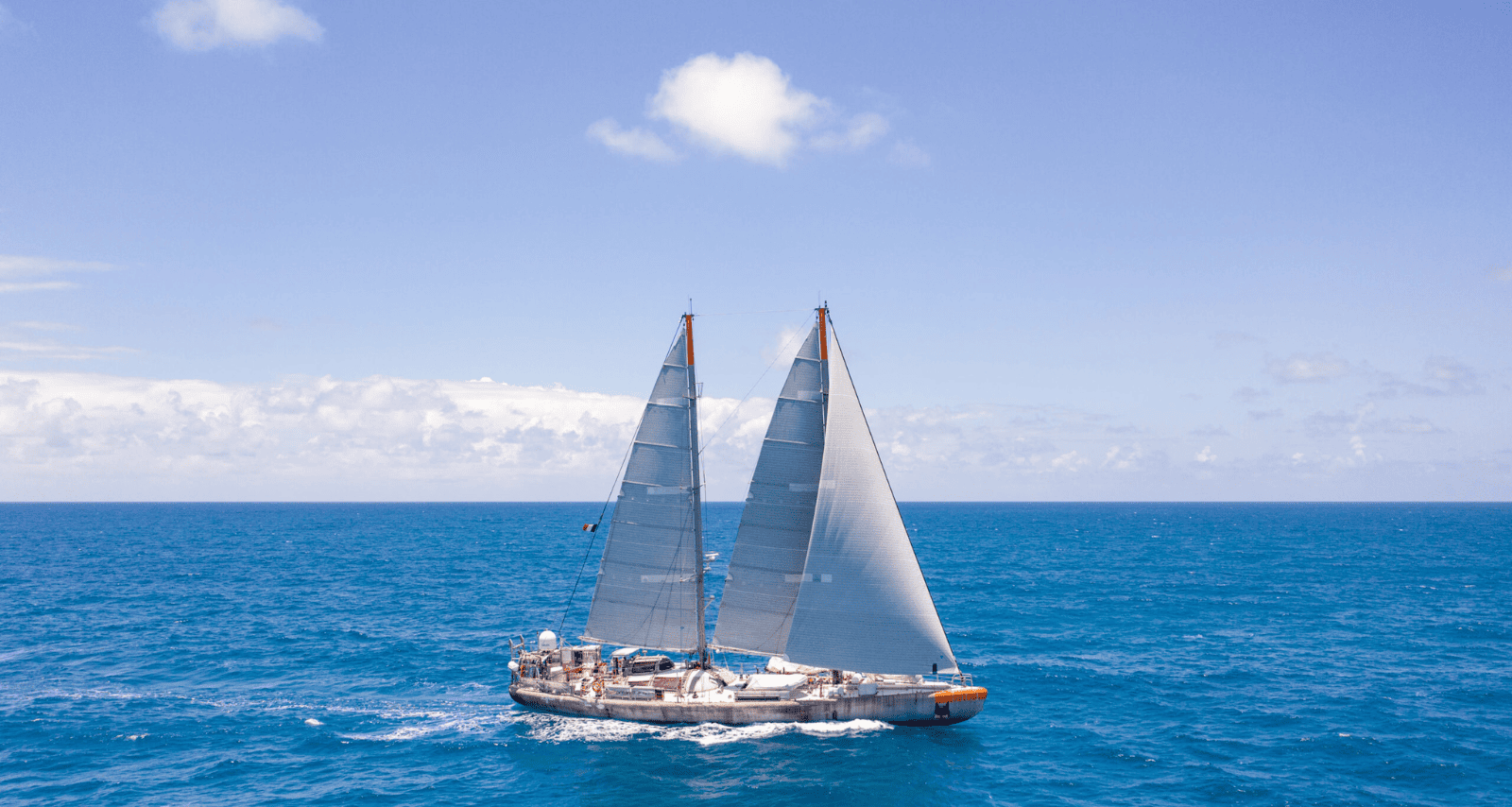 Visibilité SEO de la Fondation tara Océan